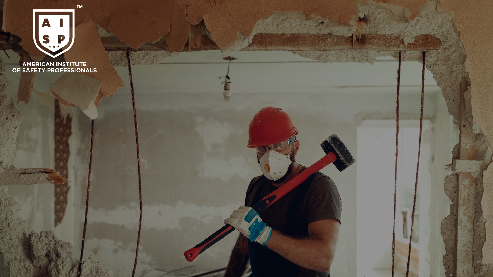 Renovation and Demolition Safety